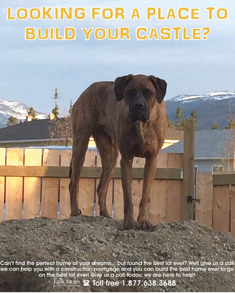 Looking for a place to build your castle?